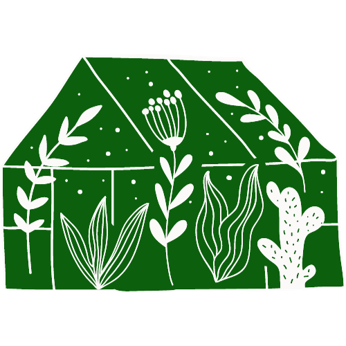 Greenhouse Plants Café greenhouse illustration