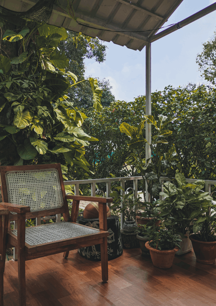 Lush tropical plants on a patio setting