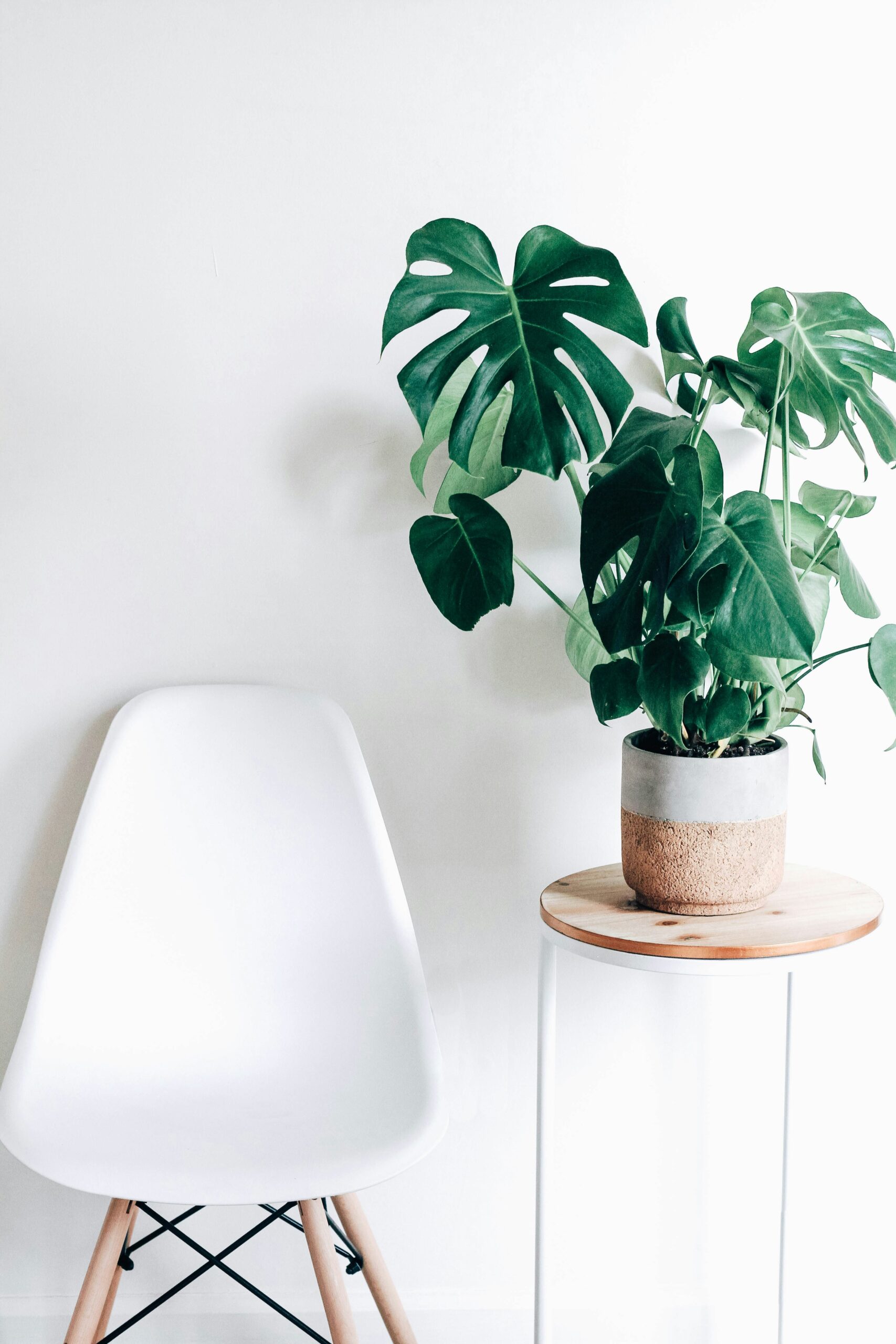 Connecting people and plants