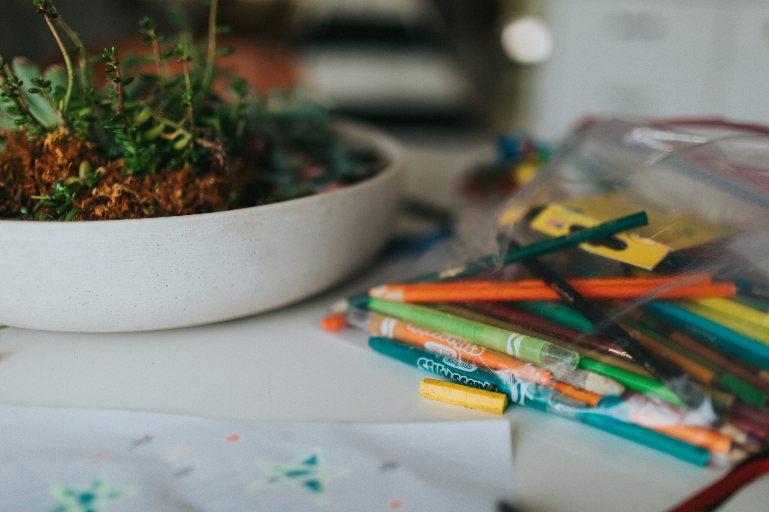 A potted succulent in a white bowl next to a pouch of coloured pencils and a drawing sheet on a table