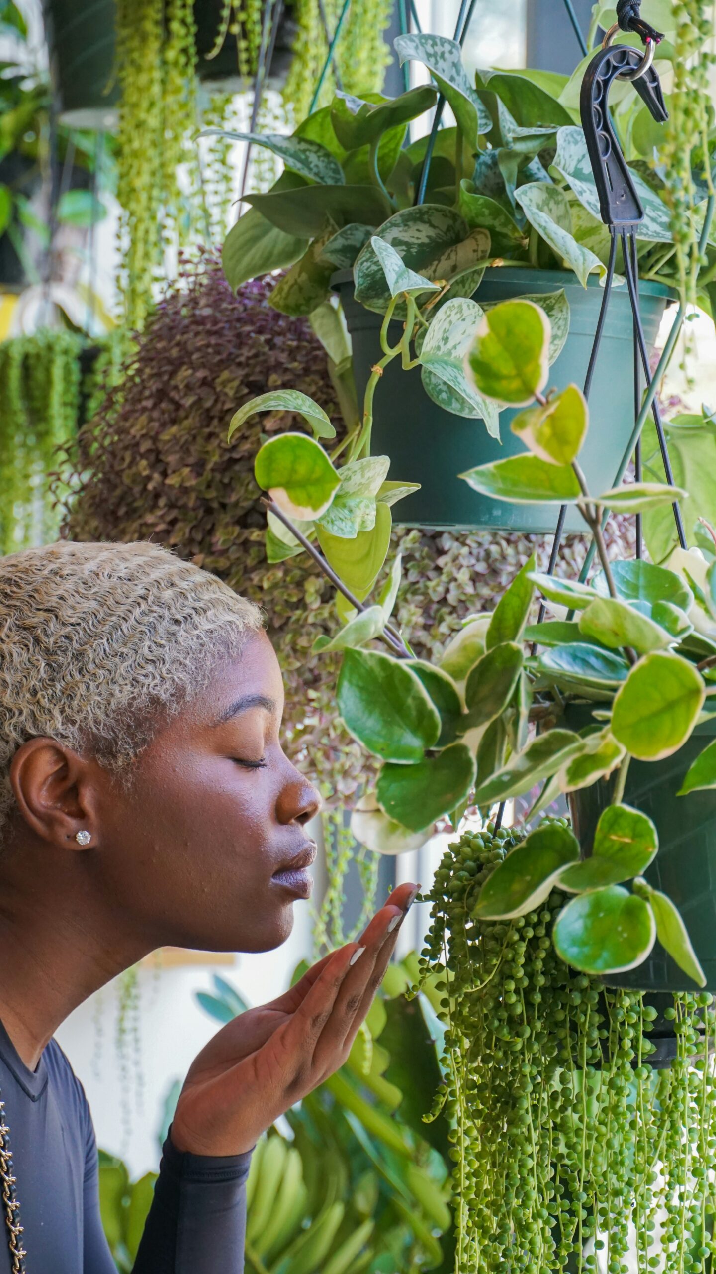 Ground & Garden experience at Greenhouse Plants Café