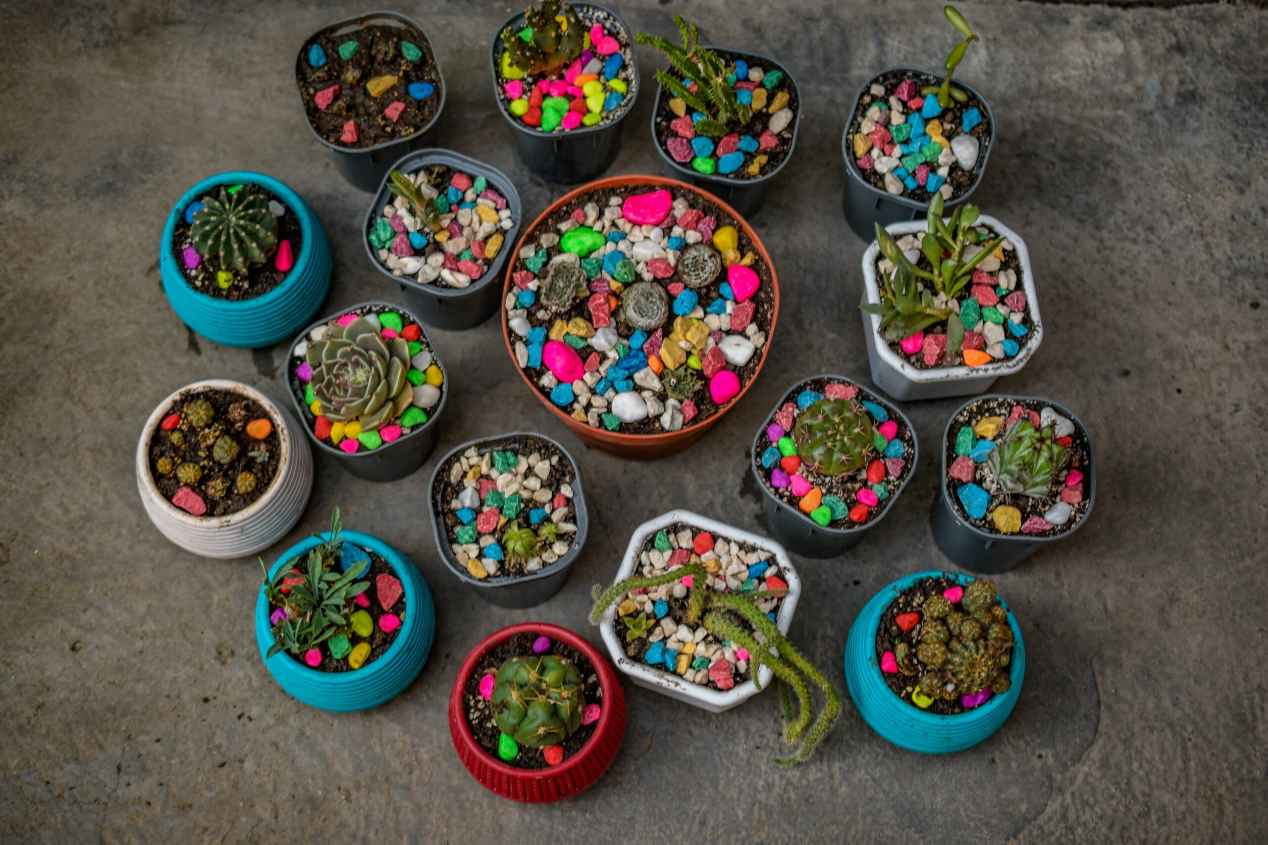 Children planting at Greenhouse Plants Café