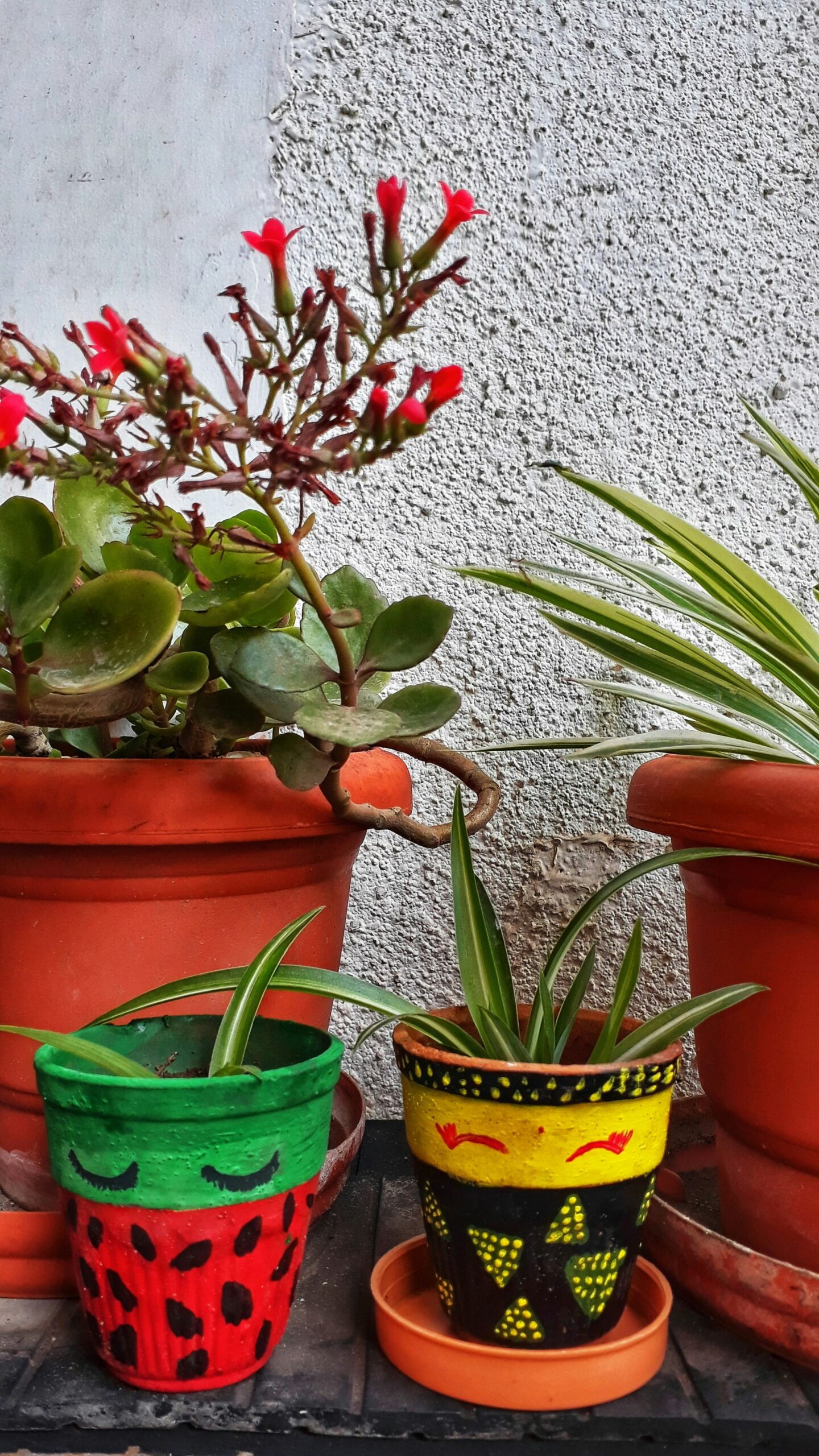 Paint, Sip & Taste at Greenhouse Plants Café